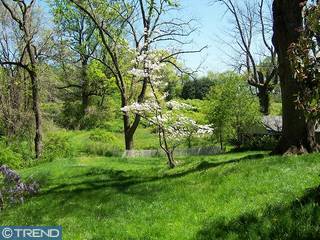 Blue Bell Real Estate