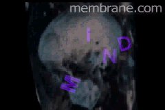 Still from the Crossfire Conspiracy/The Mind