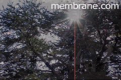 Still from the Crossfire Conspiracy/A  
peaceful, easy feeling