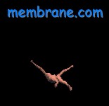 falling to the bottom